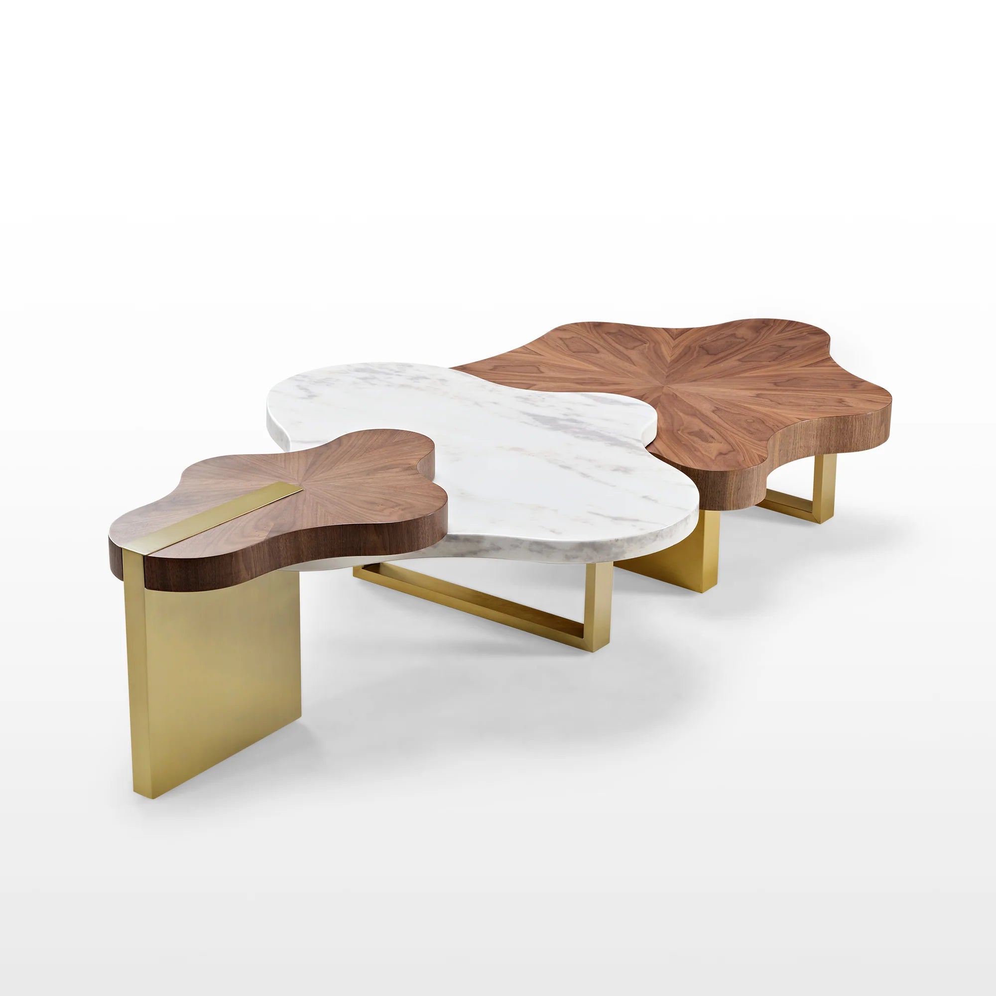 Cloud Shape Solid Wood Coffee Table Set