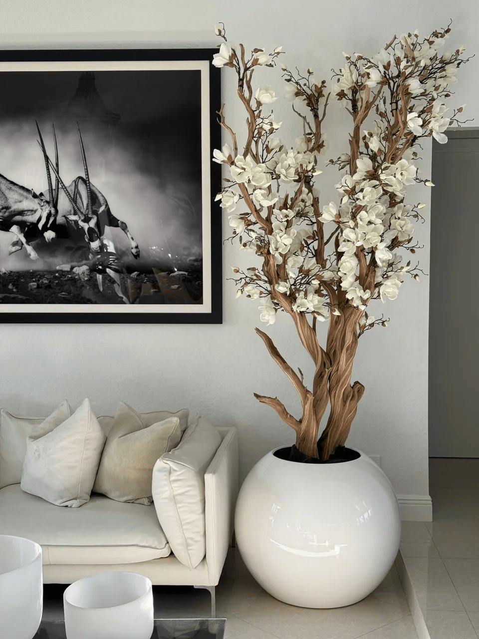 White Magnolia Tree in 30′′ Glossy White Globe Planter